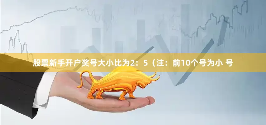股票新手开户奖号大小比为2：5（注：前10个号为小 号